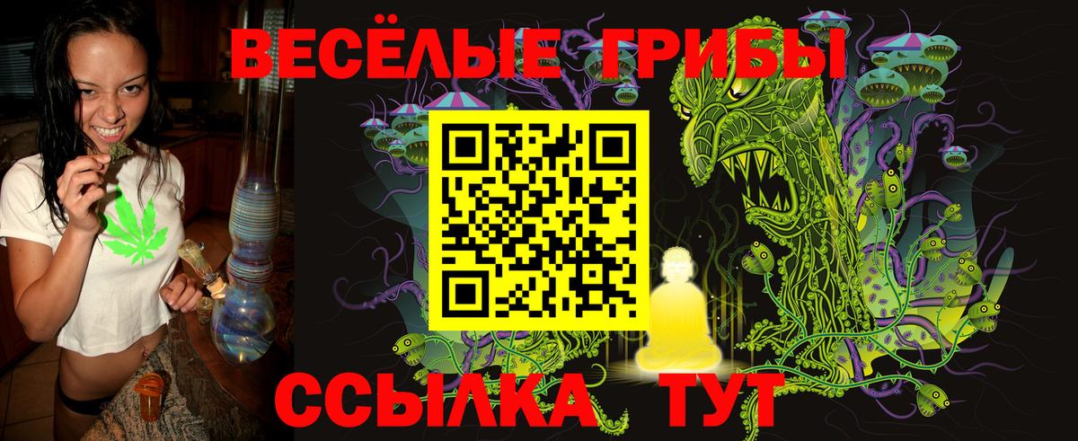Псилоцибиновые грибы MAGIC MUSHROOMS  наркота  Галлюциногенные грибы MAGIC MUSHROOMS  Менделеевск  Вход с VPN 